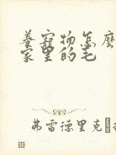 养宠物怎么清理家里的毛