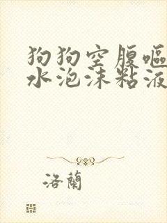 狗狗空腹呕吐黄水泡沫粘液