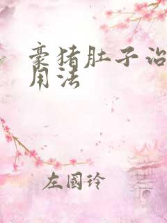 豪猪肚子治胃病用法