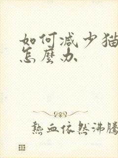 如何减少猫掉毛怎么办