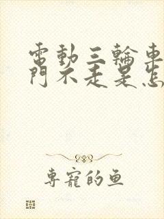 电动三轮车加电门不走是怎么回事