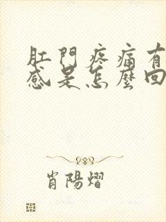 肛门疼痛有下坠感是怎么回事