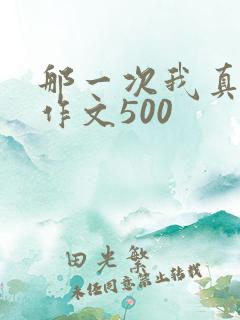 那一次我真难忘作文500