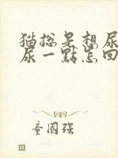 猫总是想尿,却尿一点怎回事