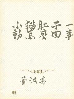 小猫肚子一直抖动怎么回事