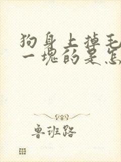 狗身上掉毛一块一块的是怎么回事