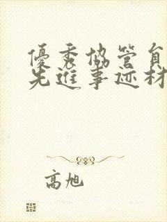 优秀协管员个人先进事迹材料