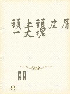 头上头皮屑一抠一大块