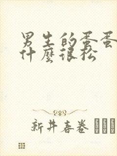 男生的蛋蛋皮为什么很松