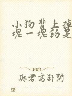 小狗背上掉毛一块一块的是怎么回事