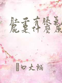 肚子有胀气老放屁是什么原因