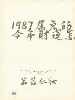 1987属兔的今年财运怎么样