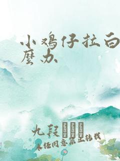 小鸡仔拉白屎怎么办