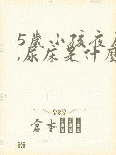 5岁小孩夜尿多,尿床是什么原因