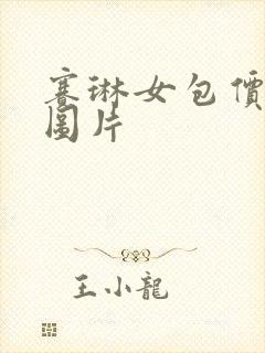 赛琳女包价格及图片