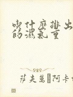 吃什么排出脾胃的湿气重