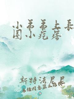 小弟弟上长了一圈小疙瘩