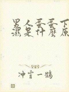 男人蛋蛋下面潮湿是什么原因