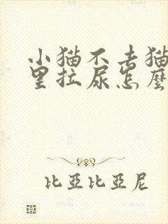 小猫不去猫砂盆里拉尿怎么办