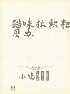 猫咪拉软粑粑怎么办