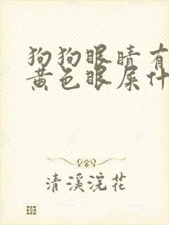 狗狗眼睛有脓的黄色眼屎什么原因