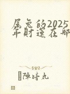 属兔的2025年财运在哪方位