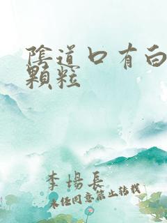 阴道口有白色的颗粒