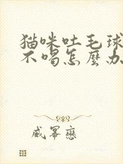 猫咪吐毛球不吃不喝怎么办