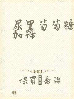 尿里葡萄糖4个加号