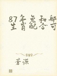 87年兔和哪个生肖配合可提升偏财运