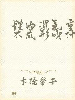 体内湿气重大便不成形吃什么药