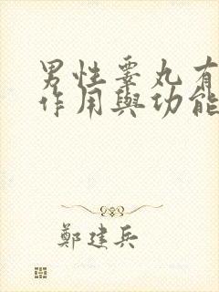 男性睾丸有什么作用与功能