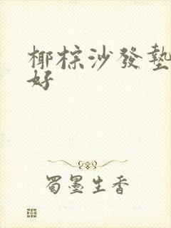 椰棕沙发垫好不好