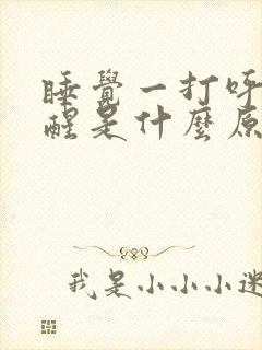 睡觉一打呼噜就醒是什么原因