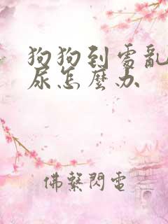 狗狗到处乱拉乱尿怎么办