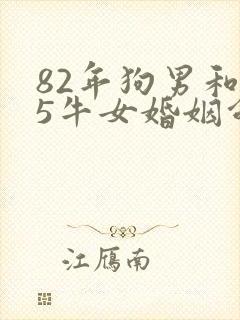82年狗男和85牛女婚姻命运