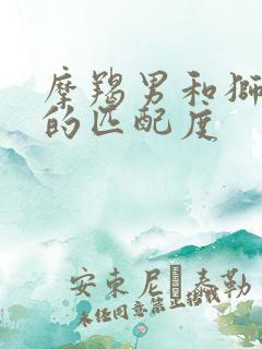 摩羯男和狮子女的匹配度