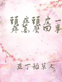 头疼头皮一摸就疼怎么回事