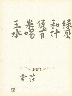 玉米须和绿豆煮水喝有什么功效