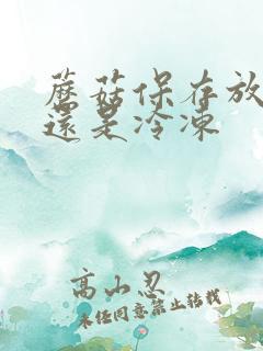 蘑菇保存放冷藏还是冷冻