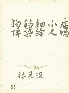 狗的细小病毒会传染给人吗