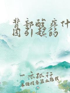 背部酸疼什么原因引起的