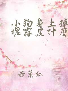 小狗身上掉毛一块露皮什么原因