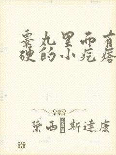 睾丸里面有个硬硬的小疙瘩一碰就疼