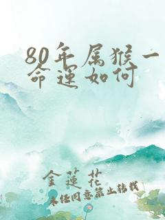 80年属猴一生命运如何