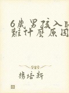 6岁男孩入睡困难什么原因