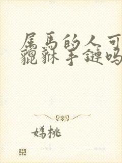 属马的人可以带貔貅手链吗