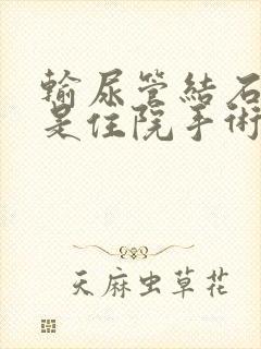 输尿管结石碎石是住院手术吗