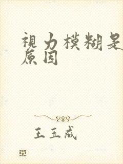 视力模糊是什么原因