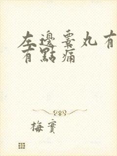 左边睾丸有点肿有点痛